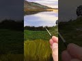 Painting grass