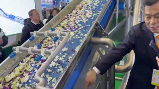 Inside Our Shanghai Central Kitchen Success | SeeNice Vegetable Processing Line in Action!