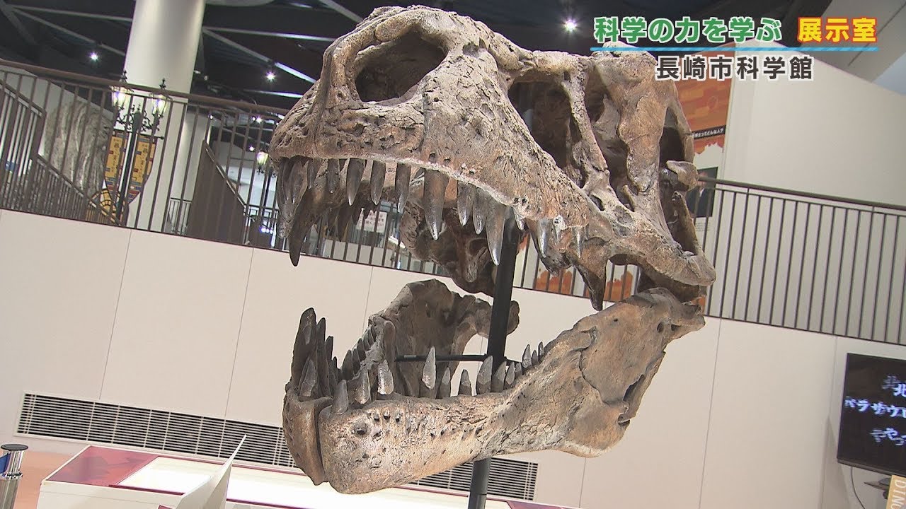 【KTN】長崎市科学館 展示室