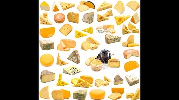 FSHN 101 at UIUC - WHAT I LEARNED