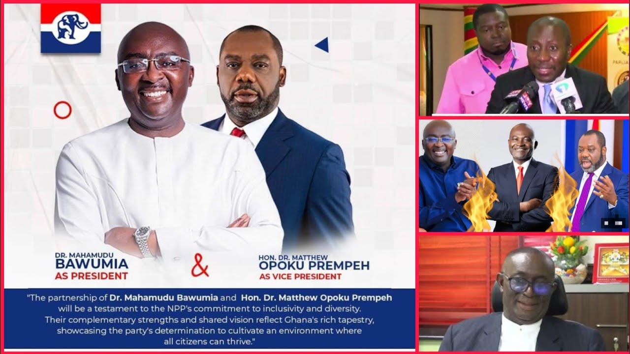 NEC to Decide on Dr. Opoku Prempeh as Potential NPP Running Mate
