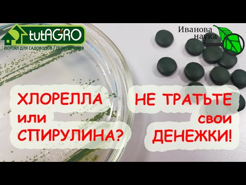 Video: A është e njëjta gjë spirulina dhe chlorella?