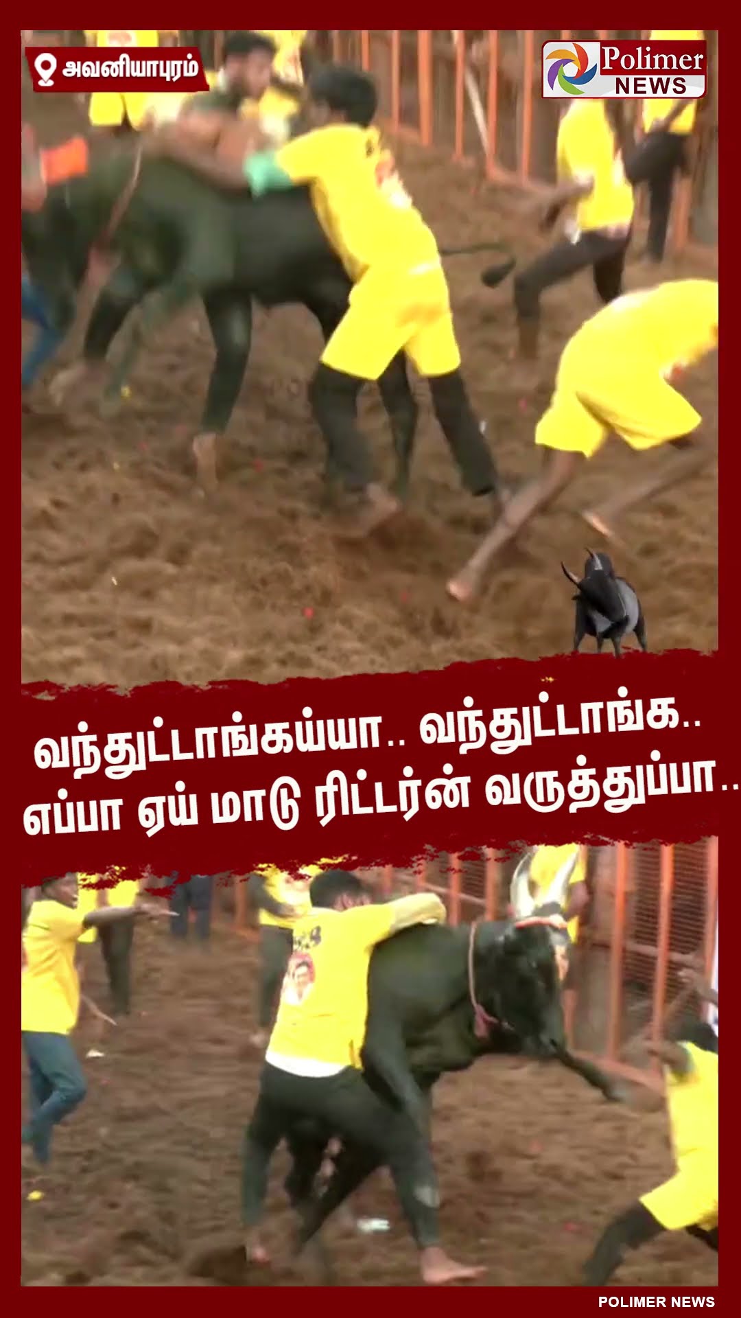வந்துட்டாங்கய்யா,வந்துட்டாங்க..எப்பா ஏய் மாடு ரிட்டர்ன் வருத்துப்பா#shorts | #avaniyapuramjallikattu