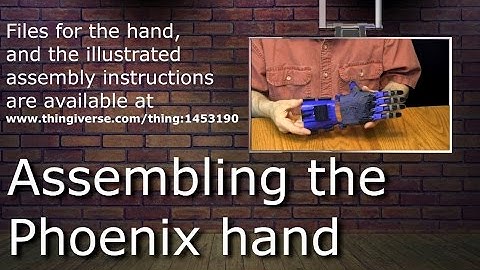 Phoenix V2 hand assembly