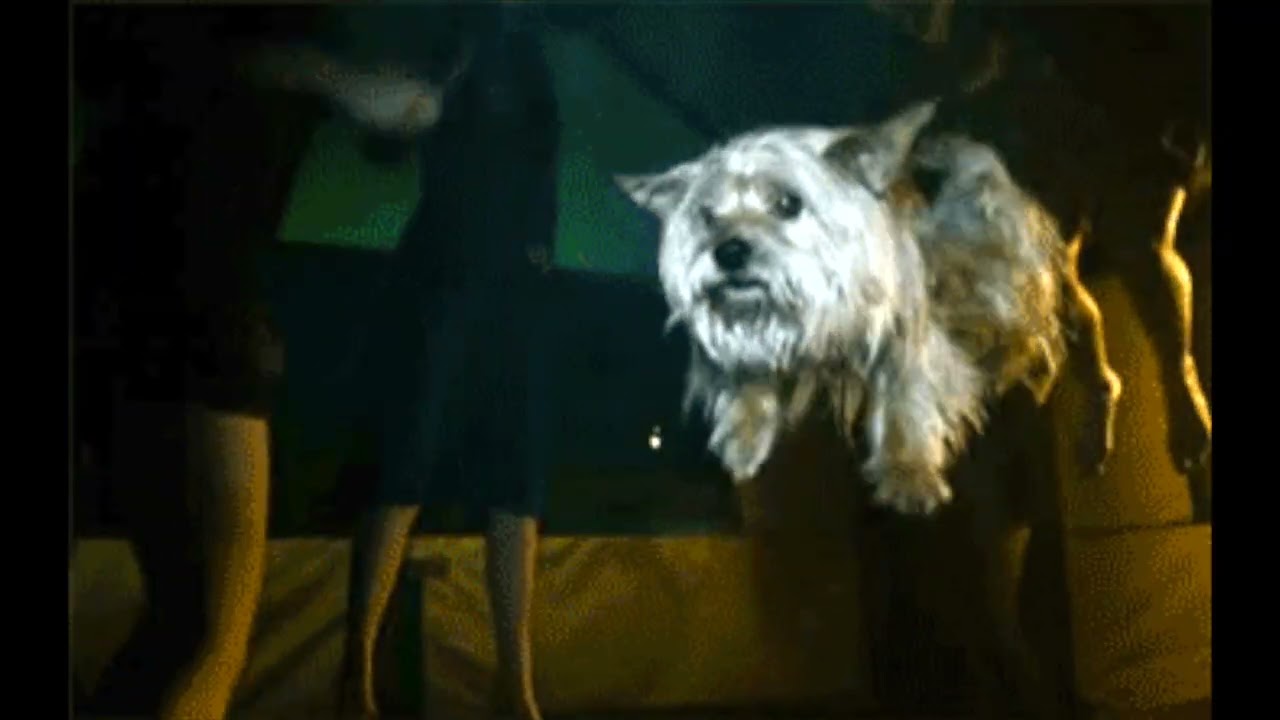 Jay-Z & Kanye West - H-A-M (528hz)