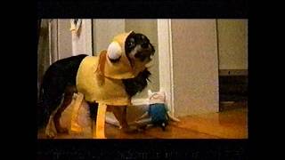 Download lagu Cartoon Network - Commercial Breaks (May 1, 2010)