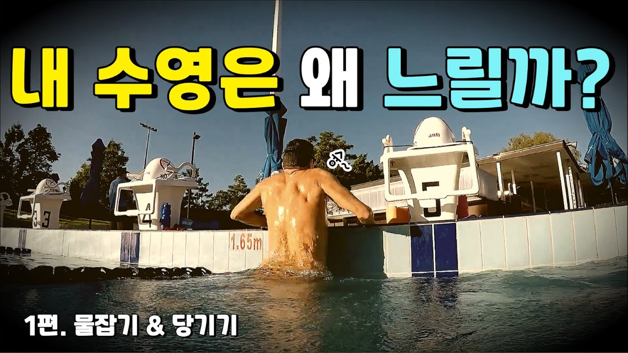 빠른 수영을 만들어내는 추진력의 핵심