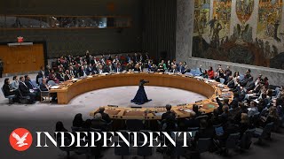 Live: UN vote for resolution on Palestine membership