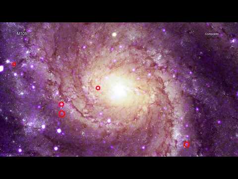 Strange New Class of X-Ray Objects discovered using Chandra Observatory