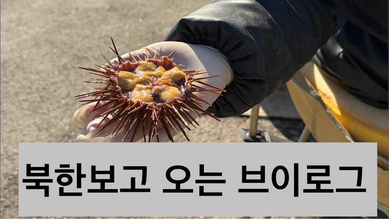 중국 대련&단둥 혼자 갔다오는 브이로그 엄청추웠다! 