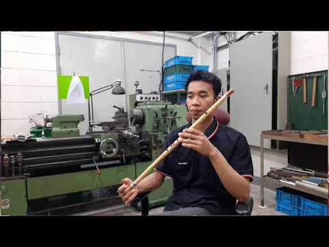 terlena dalam bayangan