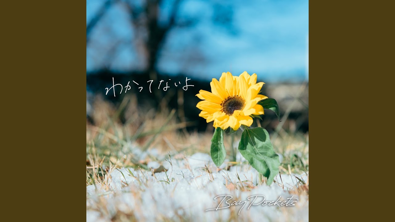 Watch わかってないよ on YouTube Watch わかってないよ on YouTube