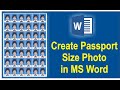 MS Word में Passport Size Photo कैसे बनाएं? | #PasspostSizePhoto #CareerSkillWaala #viralvodeo