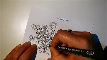 Daily Tangle - Sedgling