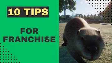TOP 10 TIPS for Ultimate Success in Franchise