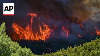'Total destruction': Greece wildfire burns out of control in Porto Germeno