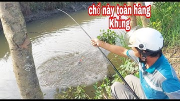 Câu cá rô đồng,địa điểm mới không ngờ toàn hàng Khủng | vui miền tây vlog