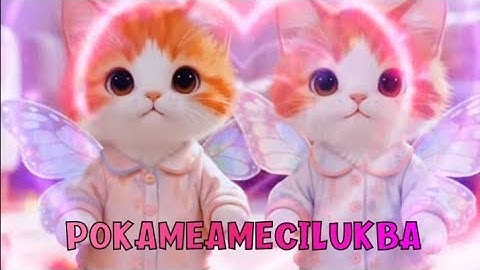 Grappige katten Pok Ame Ame Cilukba | Pok Ame Ame sprinkhaan vlinder Cilukba virale cover