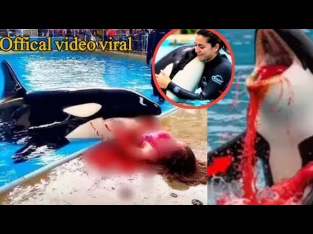 Assista a Jessica and dolphin. Jessica is no more 🥺😭😭 / Sami Sonia vlog no YouTube Assista a Jessica and dolphin. Jessica is no more 🥺😭😭 / Sami Sonia vlog no YouTube