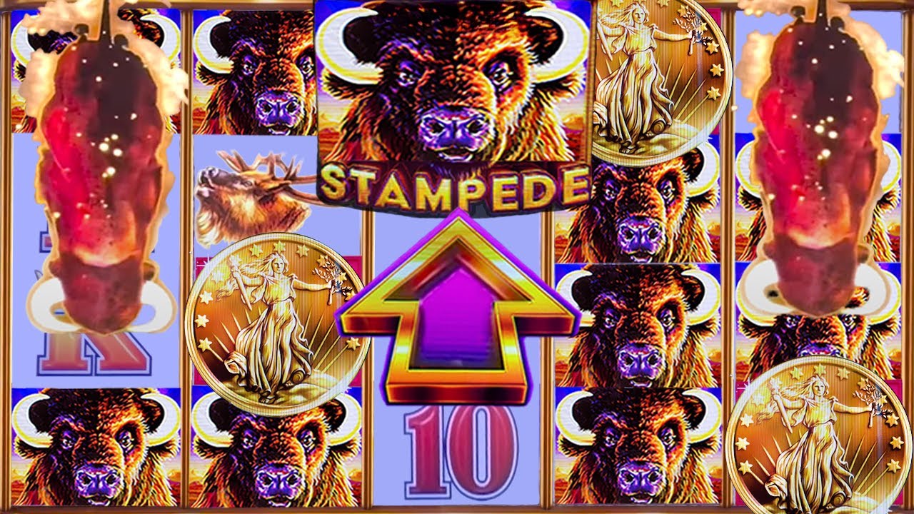 FIRST SPIN BONUS… THEN THE STAMPEDE ARRIVED
