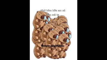 Mua tặng em con capybara  cre:binrey0812