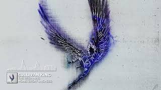 Sullivan King - The Beginning (WERZ Edit)