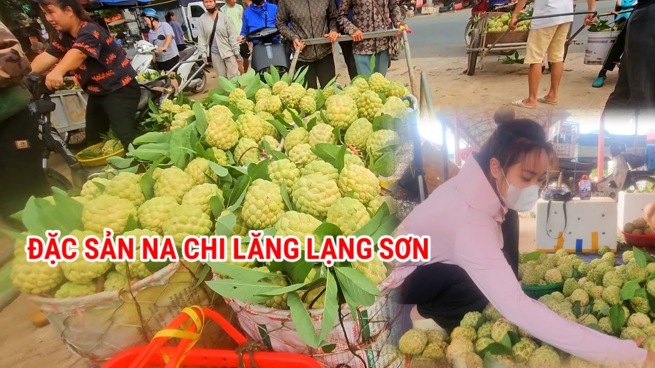  TỔNG HỢP GIÁ NA MỚI NHẤT HÔM NAY TẠI CHỢ ĐỒNG BÀNH CHI LĂNG LẠNG SƠN 
