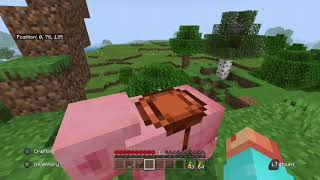 Achievement Guide: “When Pigs Fly” (Bedrock)