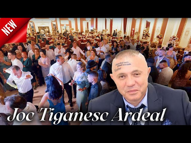 Nicolae Guta - Joc Tiganesc 🔥  Ardeal  🇹🇩 | Live 2024  🆖 🎤 🆕 class=