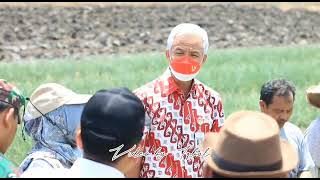 Gubernur Jawa tengah bersama para petani bawang merah di desa krasak kabupaten Brebes