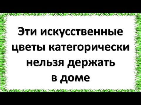 Эти искусственные цветы категорически нельзя держать в доме, куда их поставить, чтобы не было беды