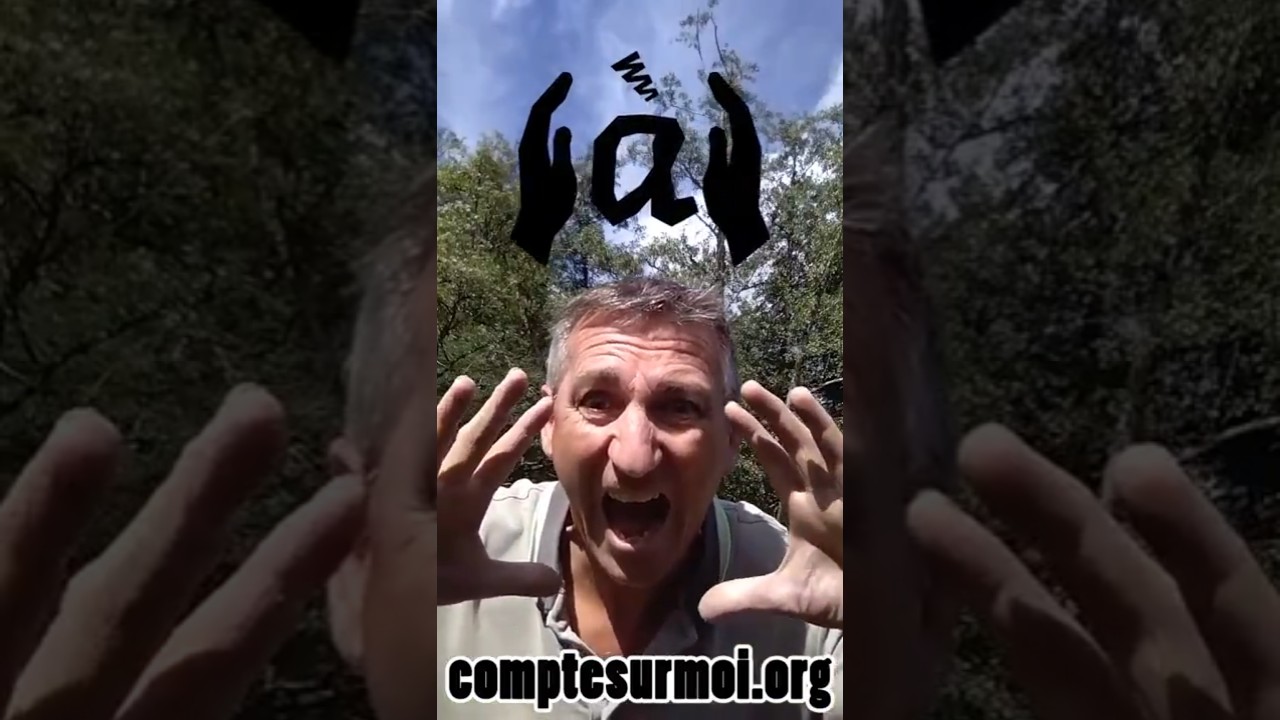 👑 L'agitateur #CompteSurMoi #CompteuràConstituants