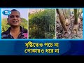 ৪০ শতাংশে সাড়ে ৫ হাজার বস্তা আদা, বৃষ্টিতেও পচে না | Ginger Farming | Rtv News