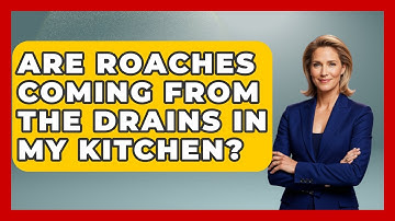 Are Roaches Coming From The Drains In My Kitchen? - Insects and Invaders