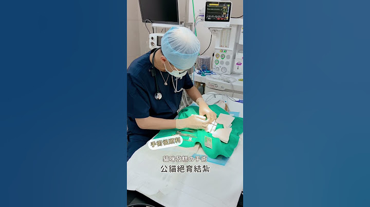 【龐龐手術紀錄室】公貓結紮絕育手術 #杜宇晨醫師