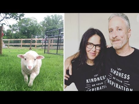 Vidéo: Jon Stewart et son épouse ont acheté une ferme pour construire un sanctuaire animalier