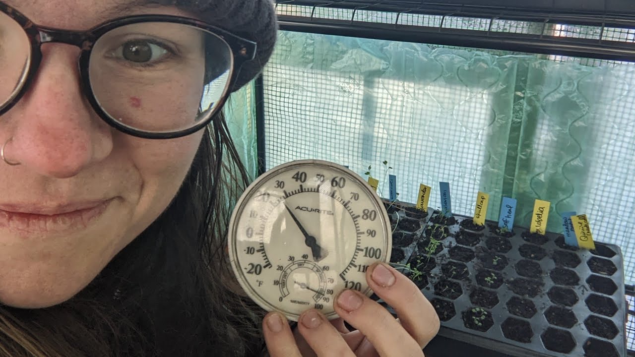 February Garden Tour // Quarter Acre // Zone 8 // How much did I fit in here?