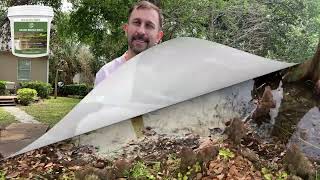 Natural Pond Care: How LMJP Muck Reducer Clears Sludge & Restores Balance 🌿💧
