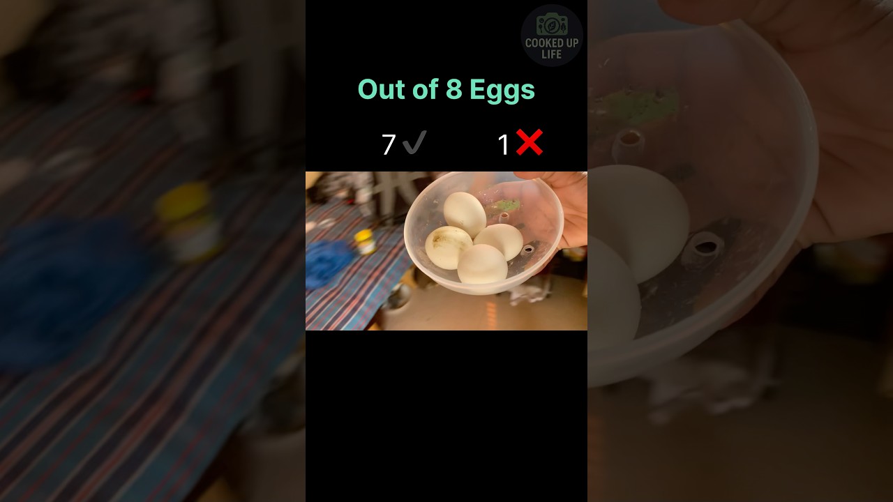 How to boil eggs in Egg boiler without breaking | No hole, No salt 