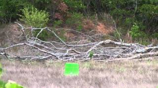 Tannerite and Star exploding targets