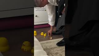 Prank Dad With These Ducks