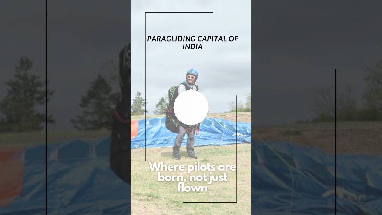 Bir Billing Paragliding 2025 | Soar Above The Himalayas | Paragliding Capital Of India