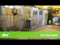 Dogs LTD. & Training Dogs LTD. & Training