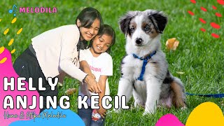  Lagu Aku Punya Anjing Kecil  Helly Guk Guk Guk  Lagu Anak Indonesia  Lagu Afika U0026 Hana Melodila