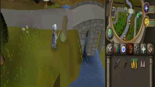 Skill4everscape 508 server!