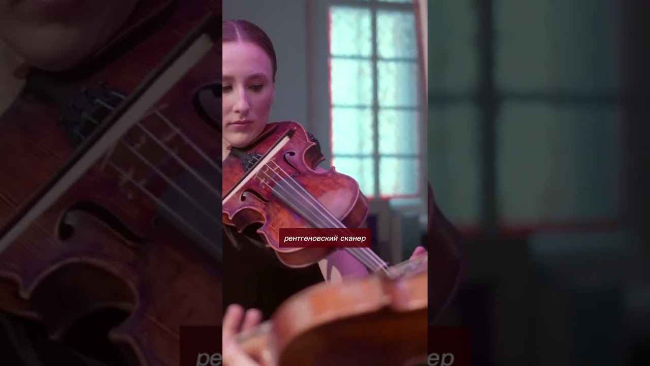 Музыка подождет: минчанку не пустили в метро со скрипкой из-за отказа открывать чехол на морозе