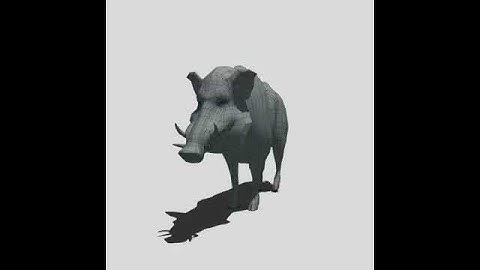 Wild Boar 3D model from CGTrader.com