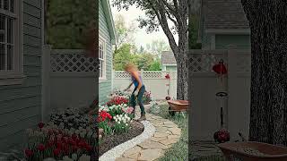 Extreme Backyard Makeover! 🌸 Satisfying Garden Transformation (Timelapse) #shorts