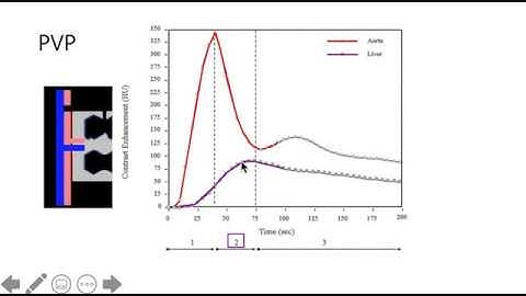 GIT - Basics MR liver-specific contrast (3/5) - Primovist, Eovist : simplified