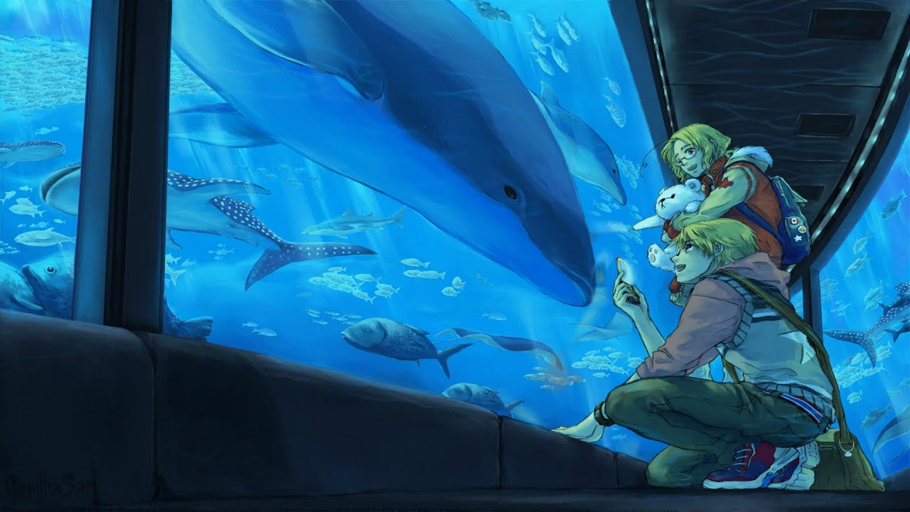 Vv Brown Shark In The Water Meaning